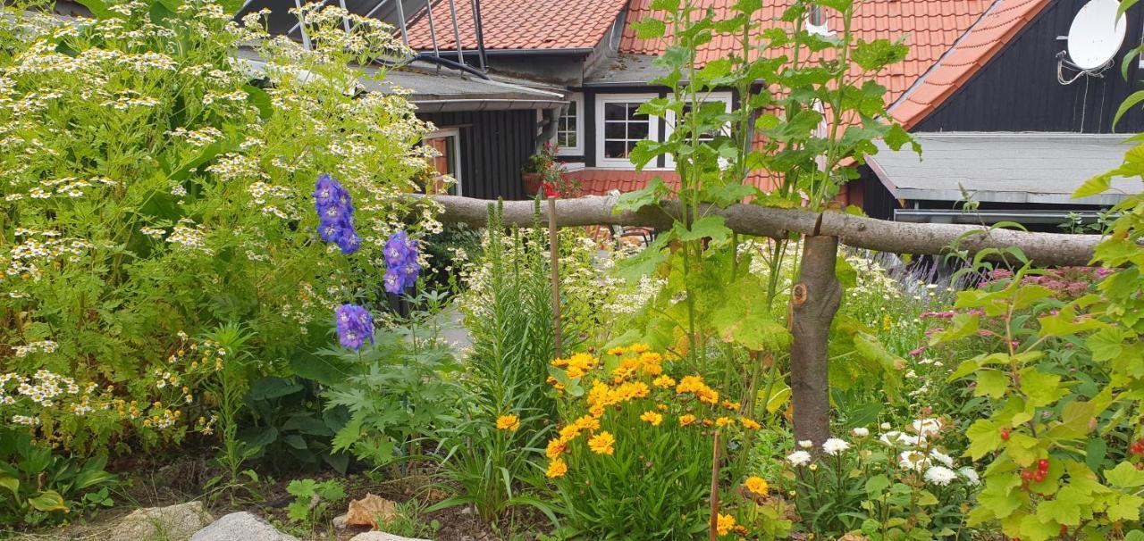 Ferienwohnung Zur Ellernmuehle Bad Suderode Esterno foto